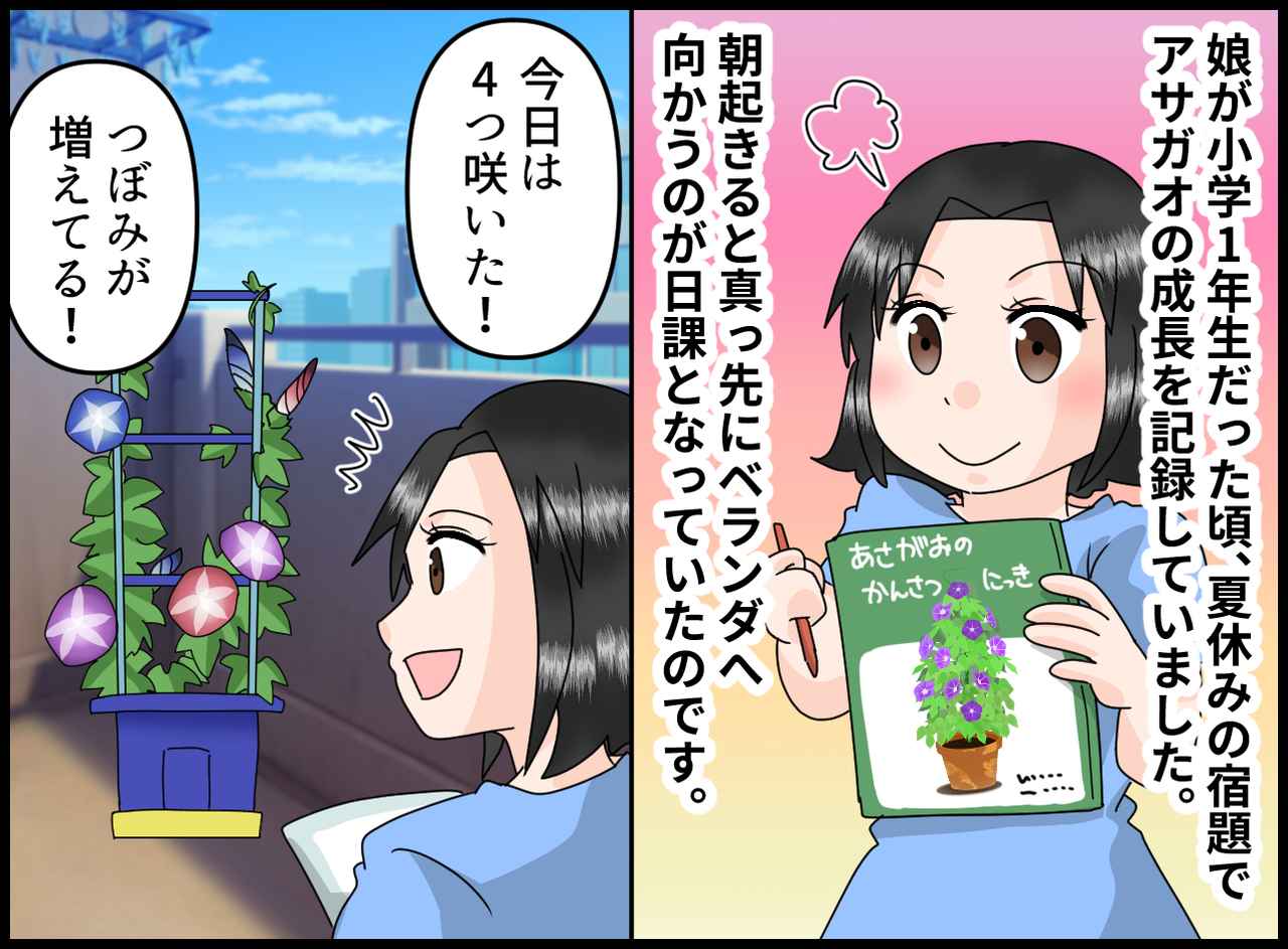 画像1: 【4コマ漫画】アサガオの観察に夢中
