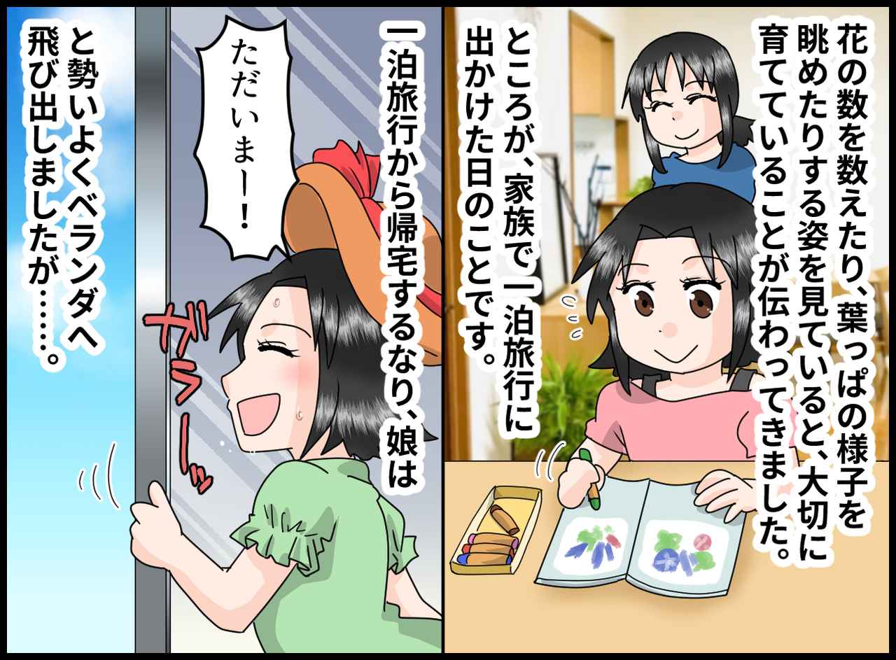 画像2: 【4コマ漫画】アサガオの観察に夢中