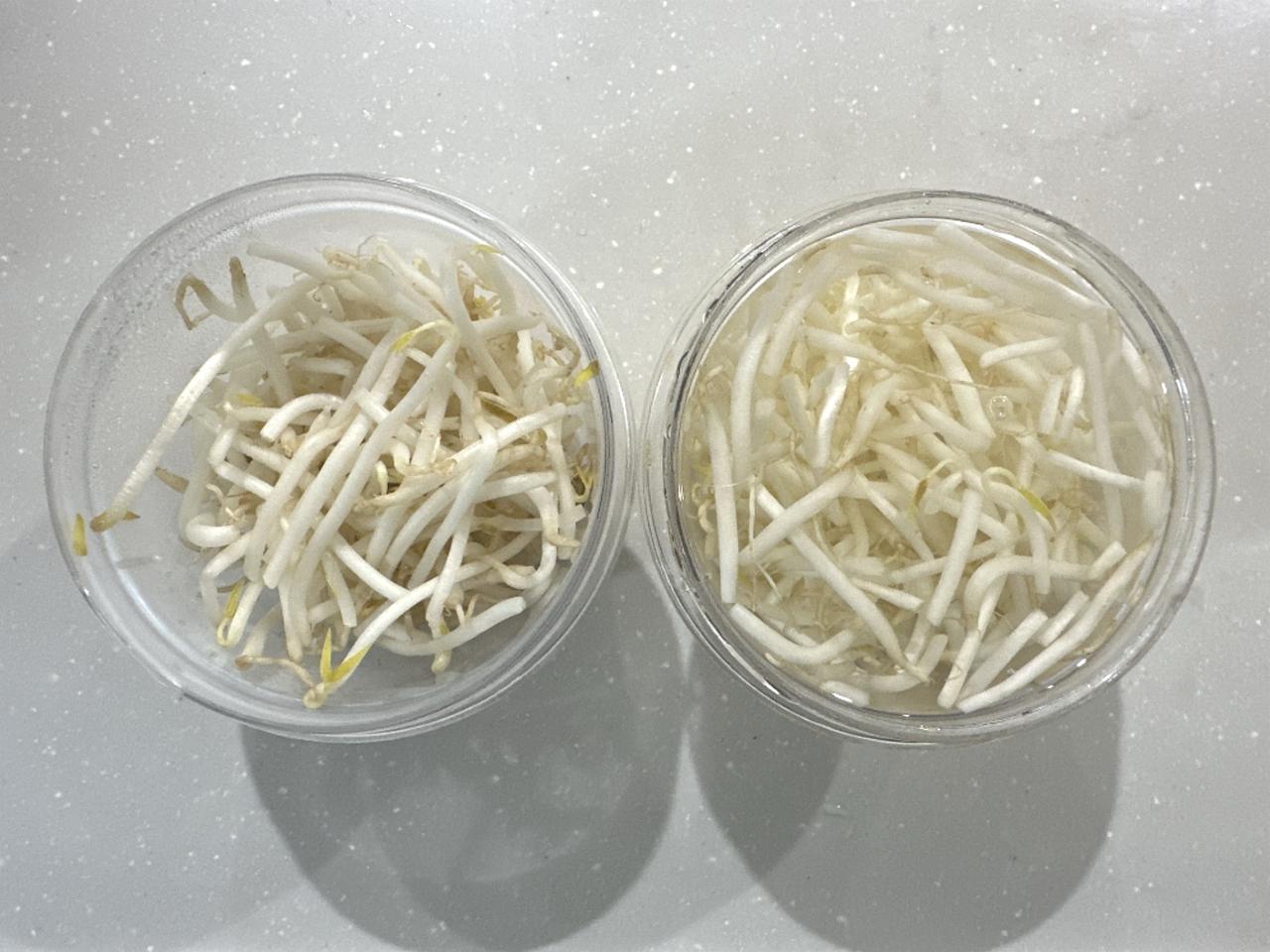 画像2: 1日目と2日目の変化は？