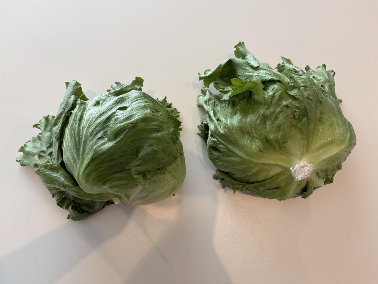 画像4: レタスのシャキシャキを保つ方法