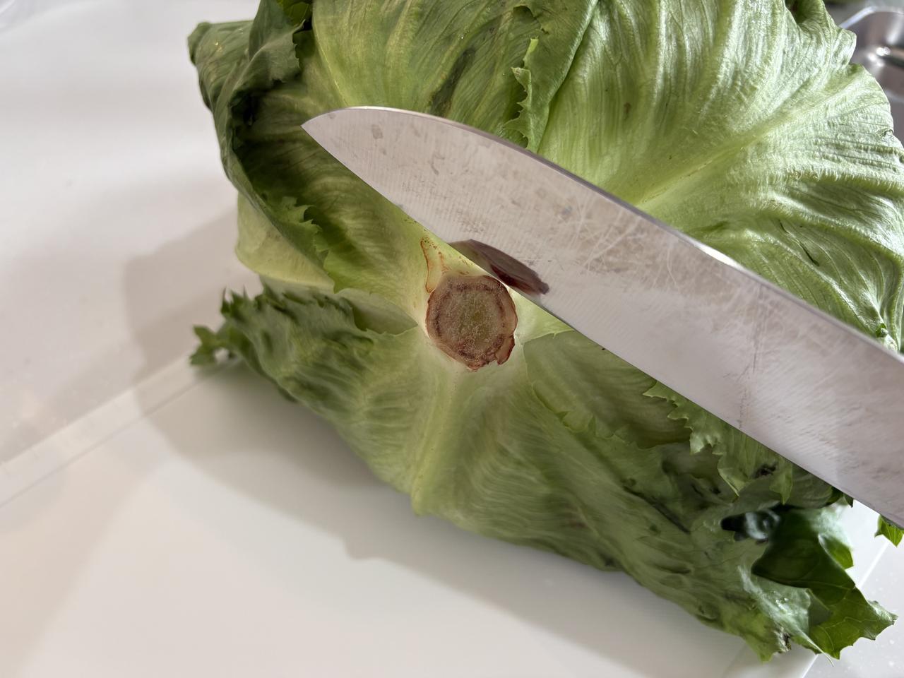 画像1: レタスのシャキシャキを保つ方法