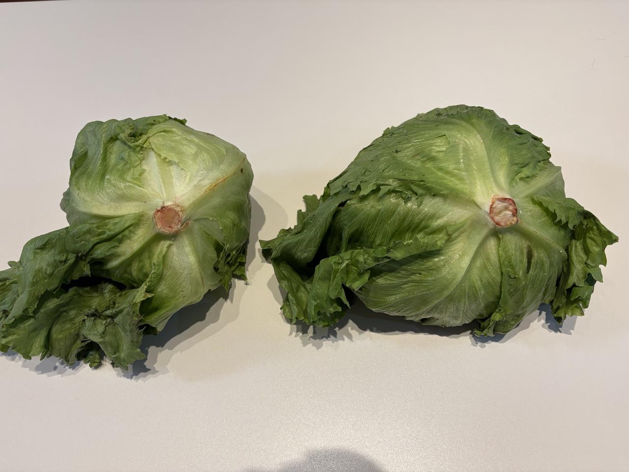 画像: 1週間後どう変わる？