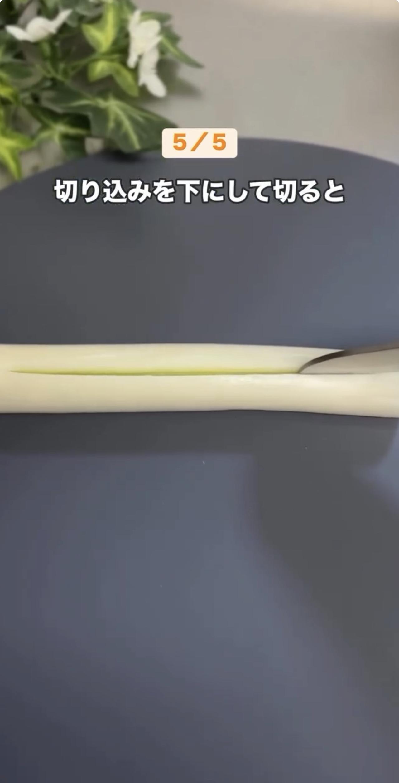 画像4: 出典：Instagram