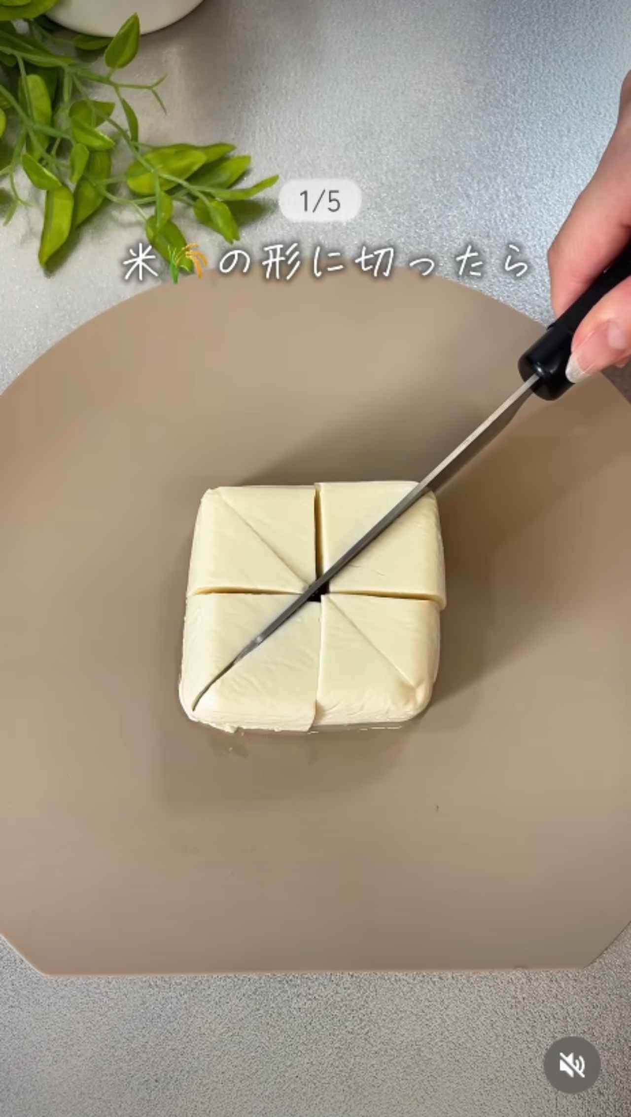 画像2: 出典：Instagram