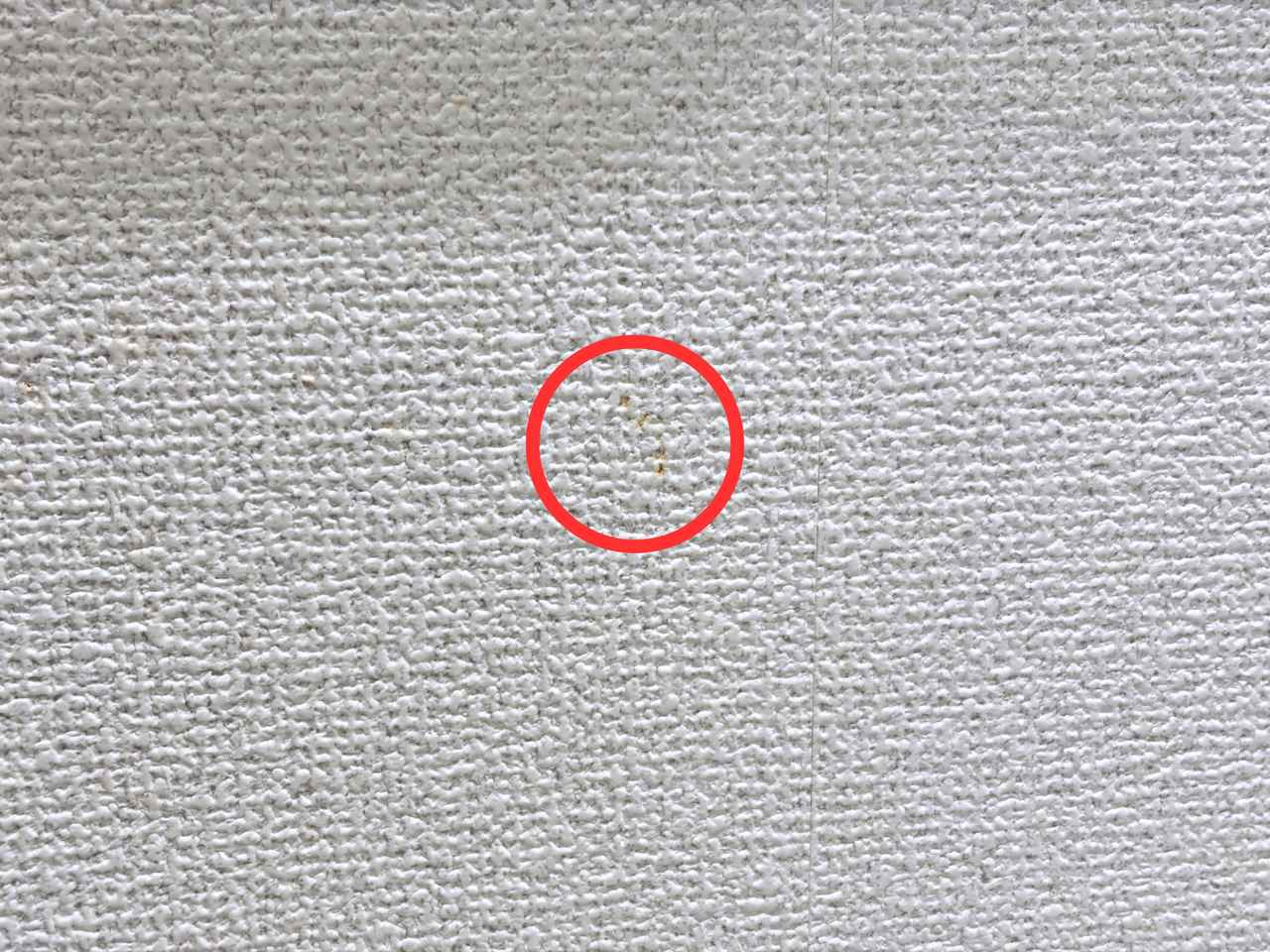 画像1: じゃない使い方② 壁の汚れ取り