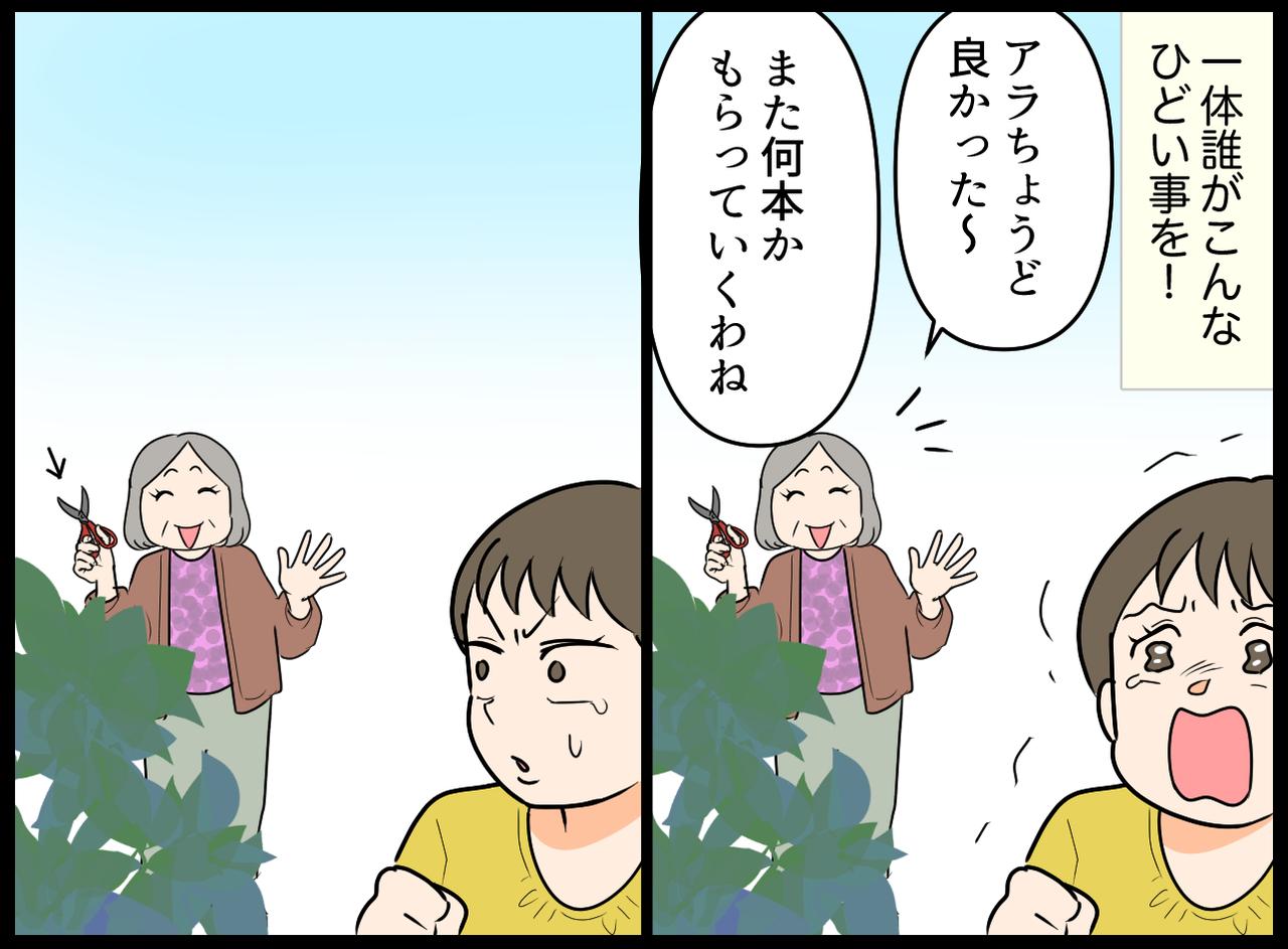 画像2: 【4コマ漫画】昨日まで綺麗に咲いていたのに