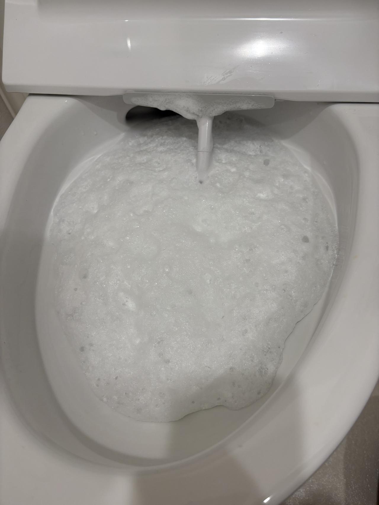 画像2: ①便器いっぱいに“モコモコ泡”が！