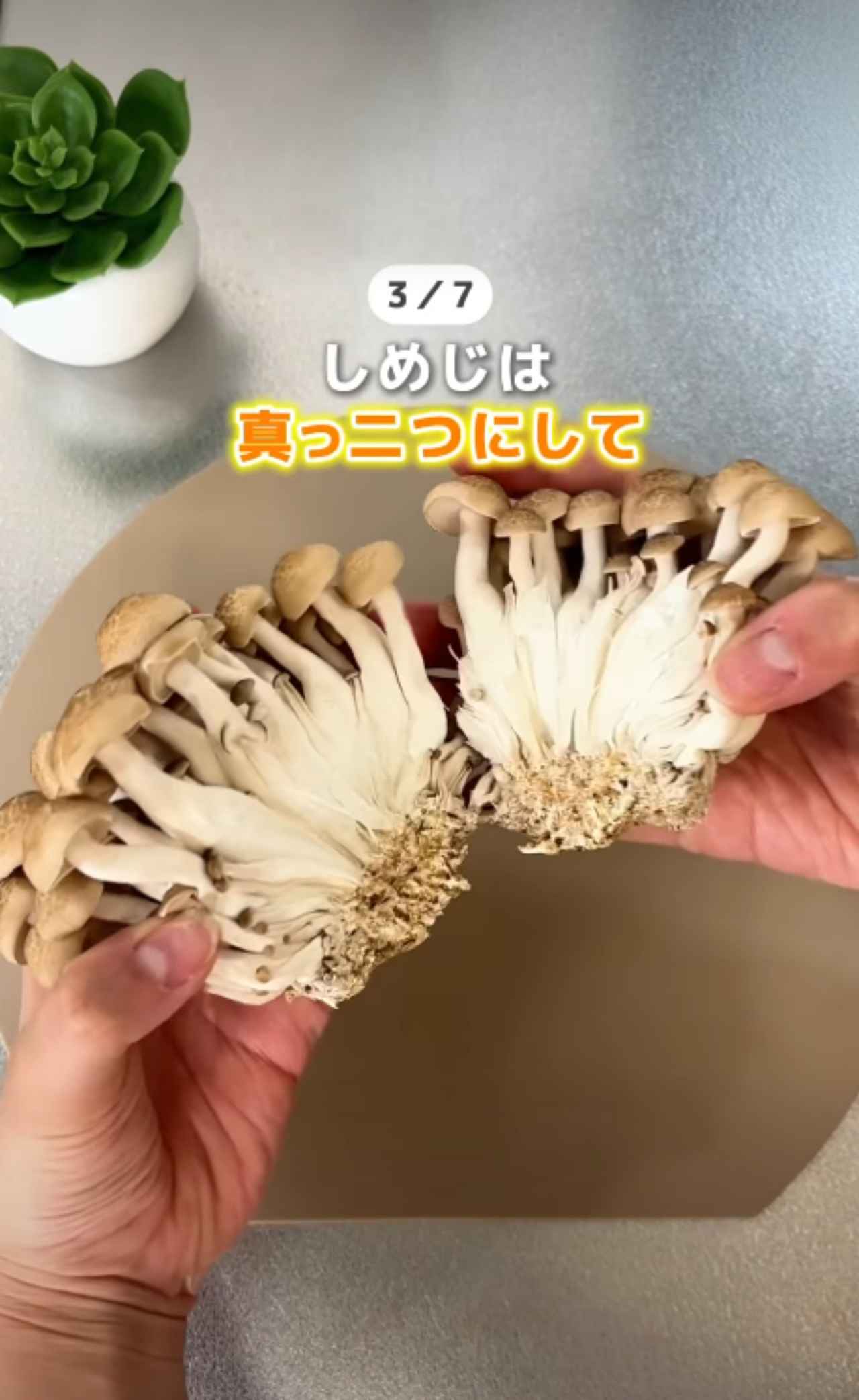 画像3: 出典：Instagram