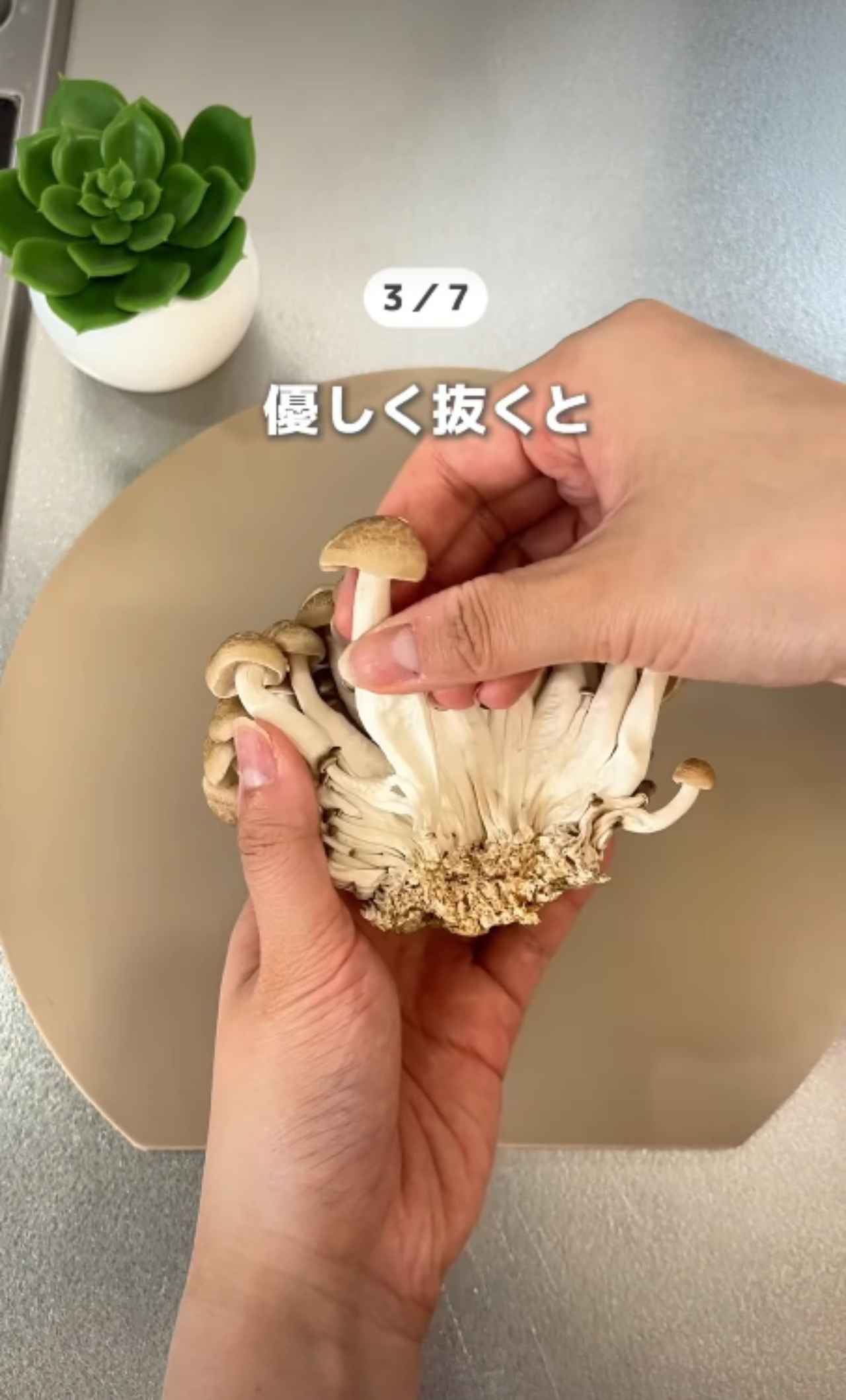 画像4: 出典：Instagram