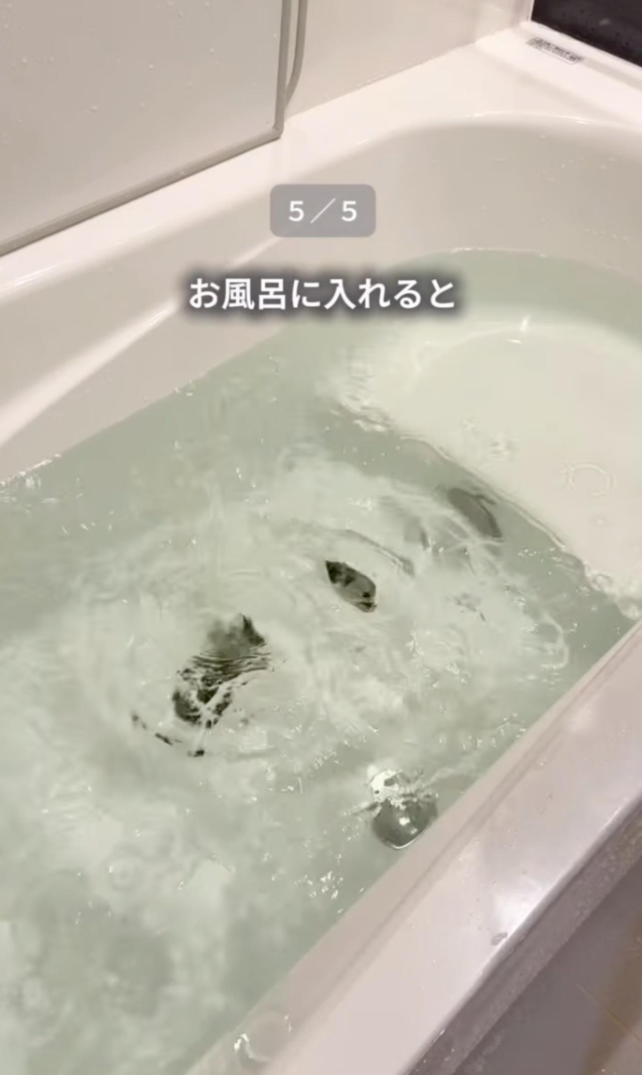 画像4: 出典:Instagram