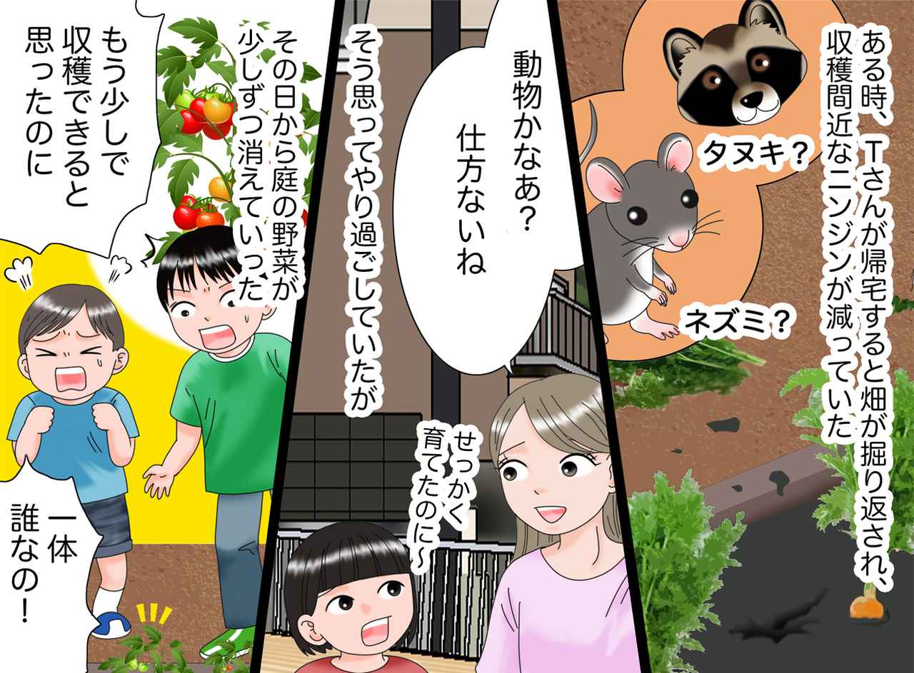 画像2: 【4コマ漫画】家族みんなの家庭菜園