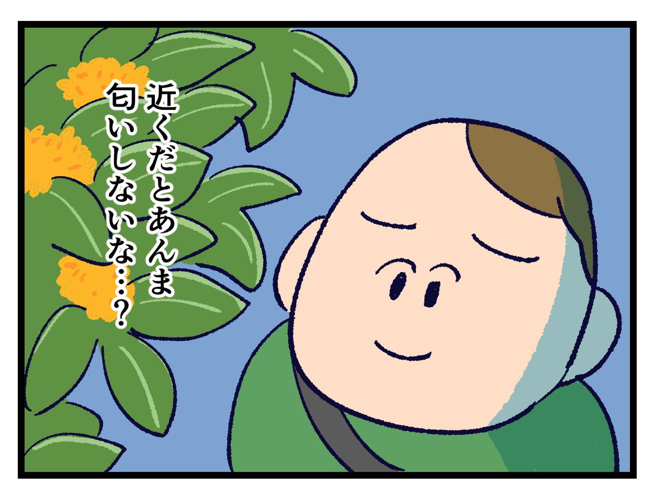 画像4: 金木犀