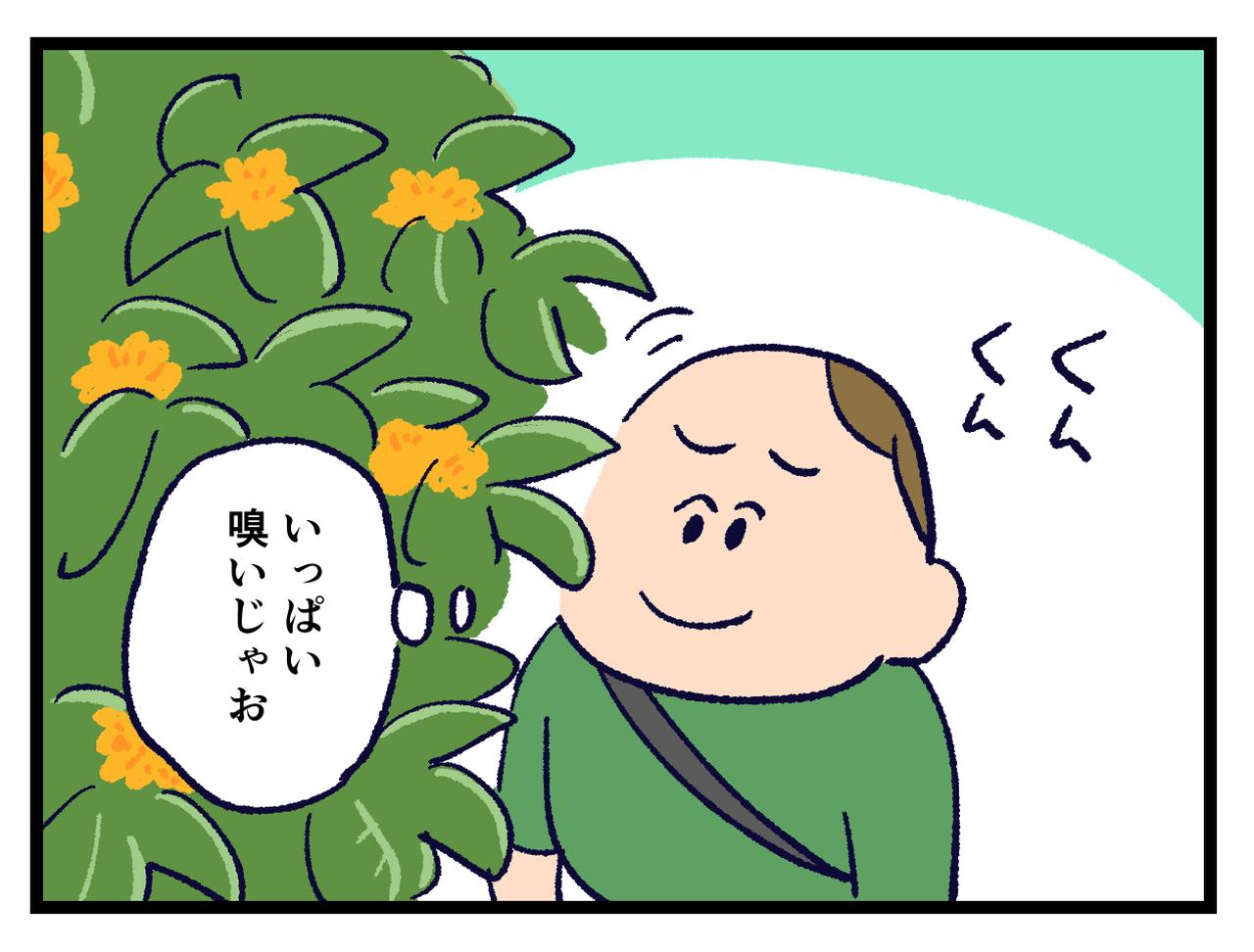 画像3: 金木犀