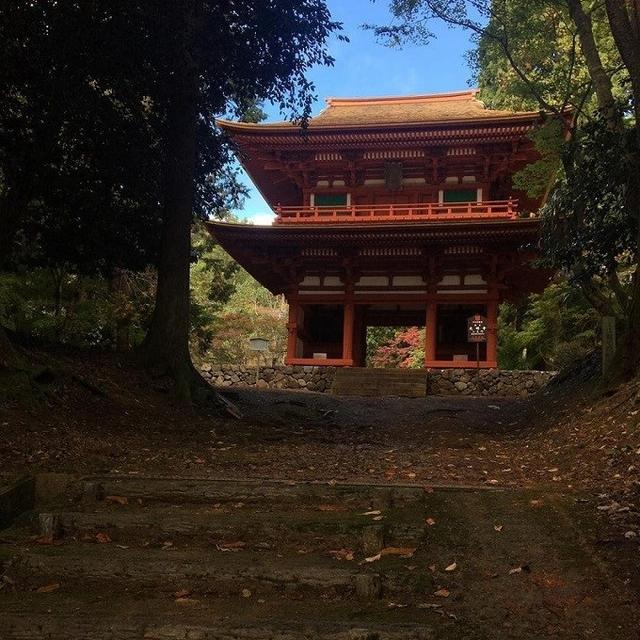 画像: 綾部市観光協会HPより www.ayabe-kankou.net