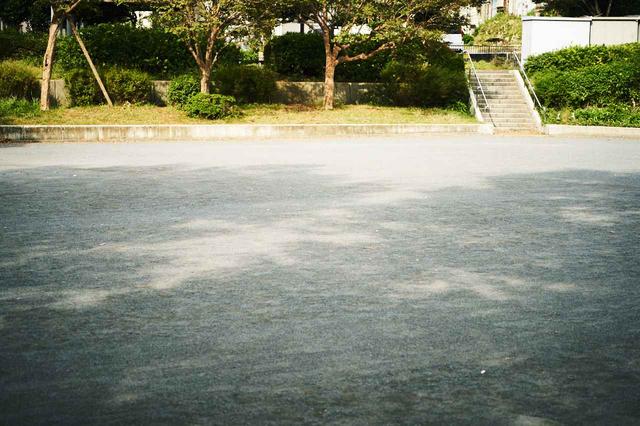 画像2: どんなに忙しくても、子育てに手を抜かない母