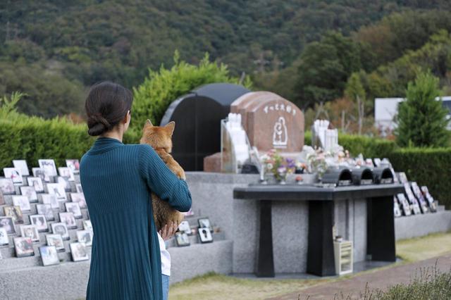 画像12: Short Story もう一つの散歩道 @北摂池田メモリアルパーク