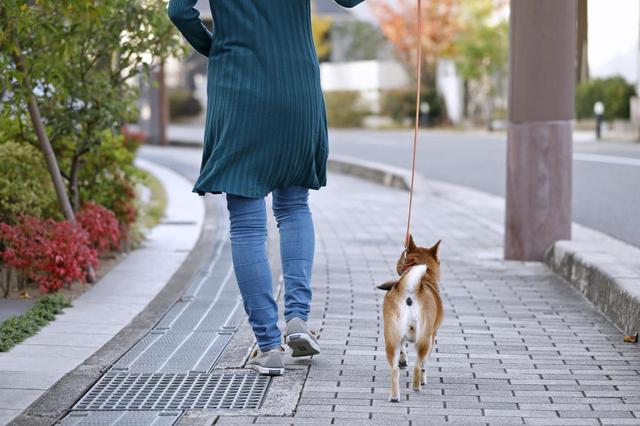 画像2: Short Story もう一つの散歩道 @北摂池田メモリアルパーク