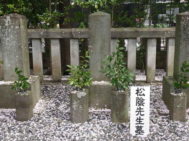 画像7: PIXTA