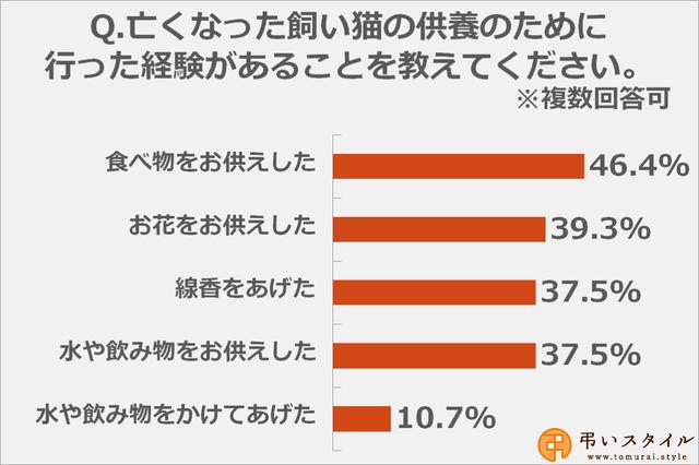 画像: 飼い猫の供養のためにしたこと