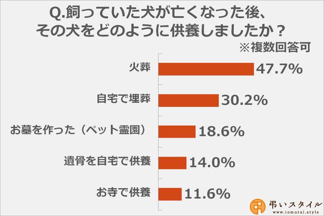 画像: 飼い犬の供養の仕方、最も多かったのは?
