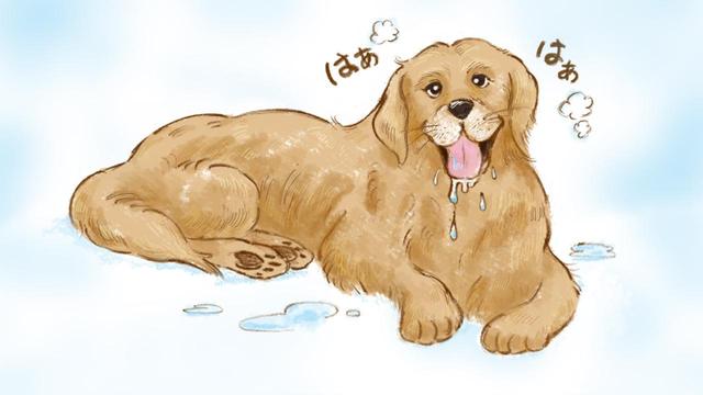 画像6: 「ゴールデンレトリバー編」おもいでワンコ手帖