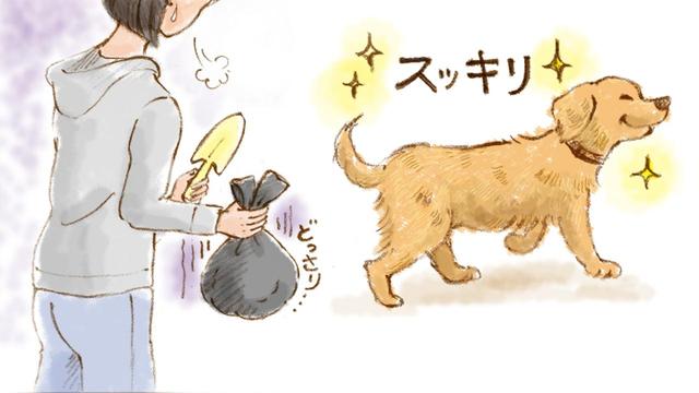 画像4: 「ゴールデンレトリバー編」おもいでワンコ手帖