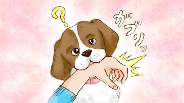 画像2: 「ビーグル編」おもいでワンコ手帖
