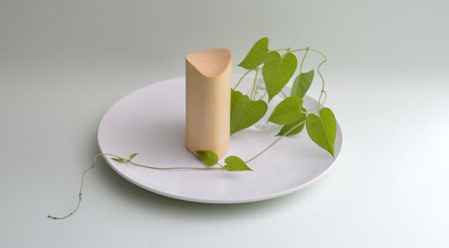 画像: 柔らかな櫂の雰囲気が植物とよくあう。