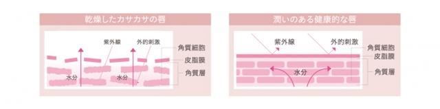 画像2: プランプティントUVの5つの効果