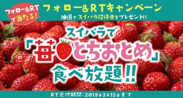 画像4: コスパ◎!おすすめのイチゴスイーツ【コンビニ・食べ放題・タピオカ】