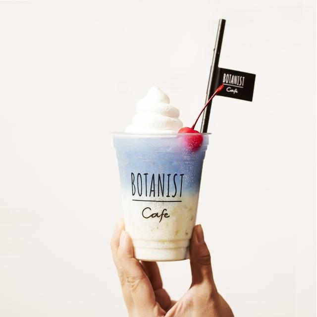 画像1: BUTTERFLY PEA MILKTEA バタフライピーミルクティー 800円(税込)