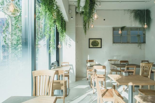 画像4: BOTANIST Tokyoでヴィーガンタピオカを限定発売!