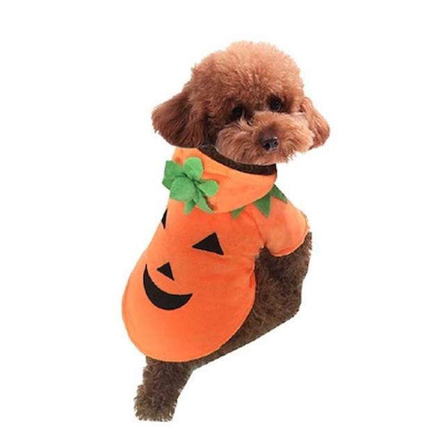 画像4: 「HALLOWEEN PARTY」特集をオープン