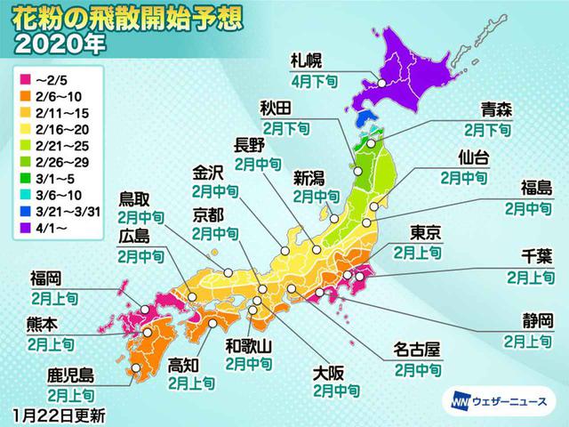 画像1: 関東は2月上旬から!いよいよツラ~い花粉シーズン到来