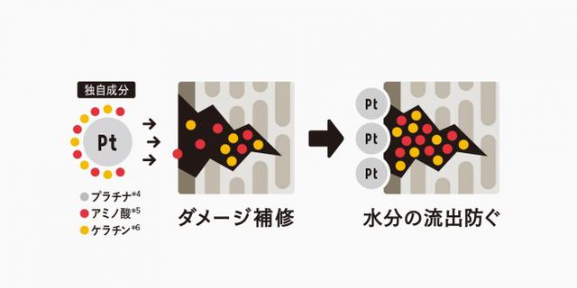画像1: “キレイのレシピ 第2弾”を解説!