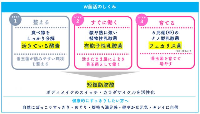 画像: なぜ善玉菌を増やすことがボディメイクにつながるの?
