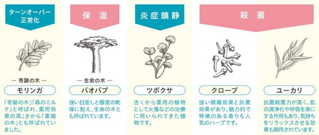 画像1: 『リペア&バランス』ブランドの特長