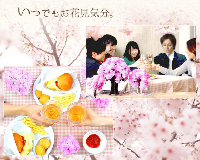 画像2: 室内装飾のワンポイントに!