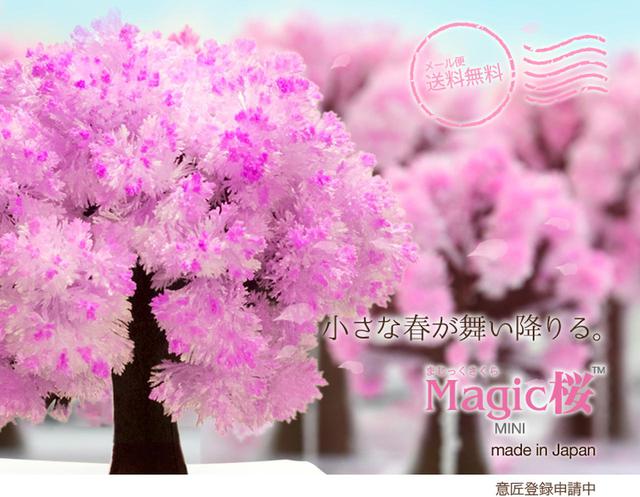 画像1: 室内装飾のワンポイントに!