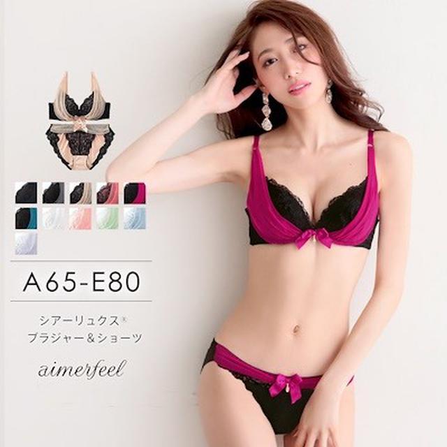 画像1: シアーリュクス ブラジャー&ショーツ