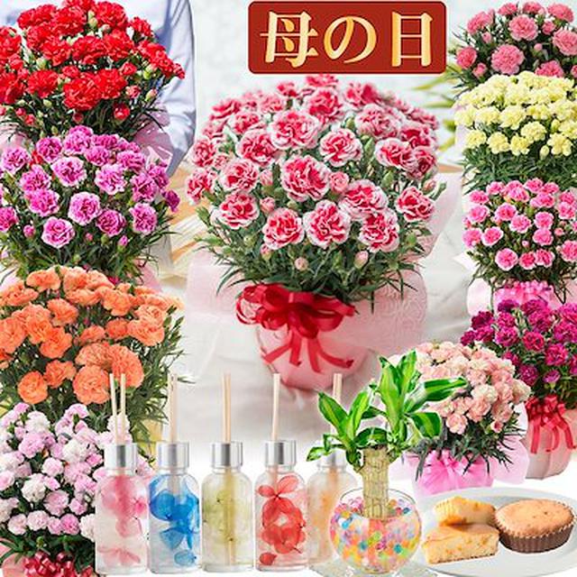 画像3: Qoo10「カーネーション」販売ランキング