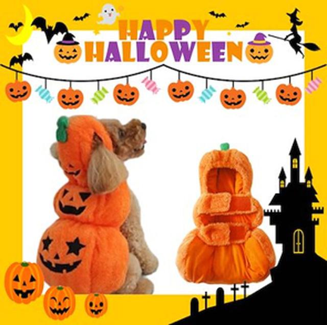 画像3: 「ハロウィン特集 Enjoy at home」開催中!