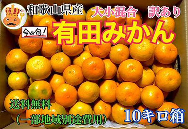 画像: みかん