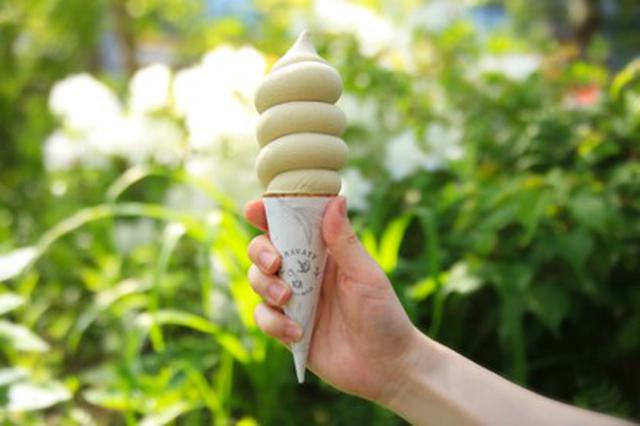 画像2: 中国十大銘茶の烏龍茶使用!ほのかに甘い芳醇な香りと味わいですっきりと食べやすい『鉄観音(テッカンノン)ソフトクリーム』