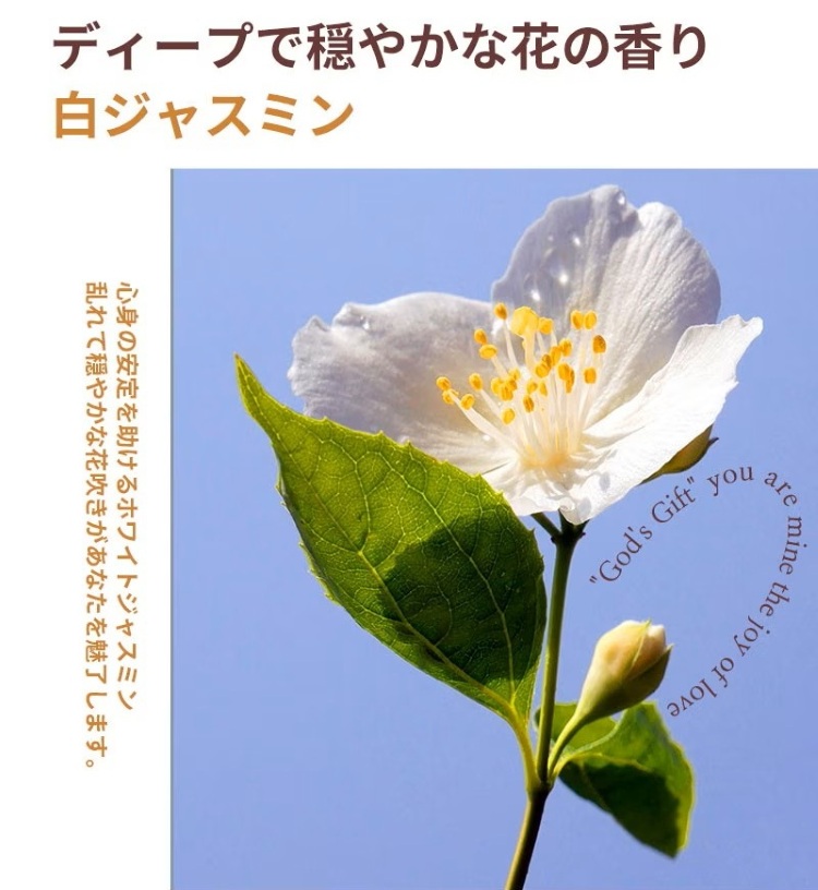 画像4: 出典:amiok_official Qoo10店