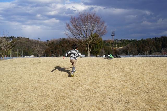 画像: キャンプ場で常に走り回っている4歳次男にも「生きる力」が付いているのかもしれない