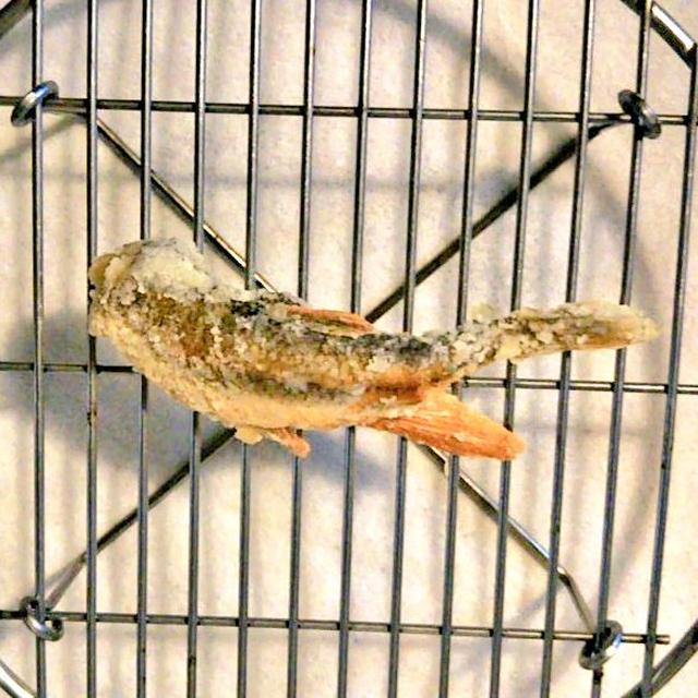 画像: 釣った魚を焼いて食べる喜び