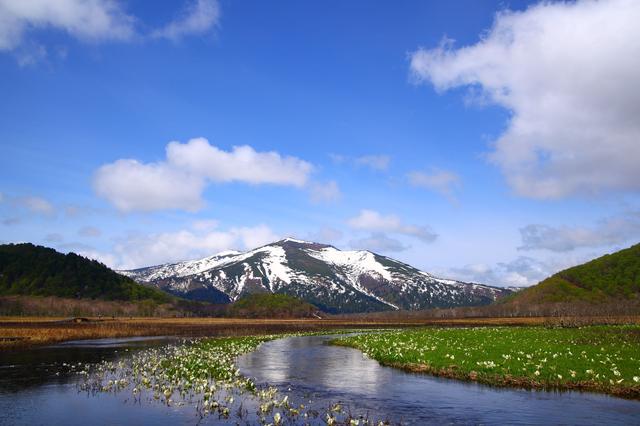 画像: 4. 至仏山(群馬県) ~希少な高山植物が咲く山。花畑が広がる夏から秋がおすすめ~