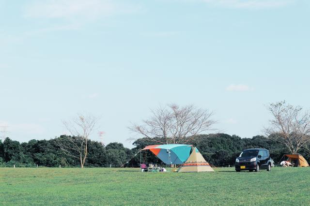 画像: 充実した設備で初心者向きの成田ゆめ牧場のキャンプ場 futaricampguide.com