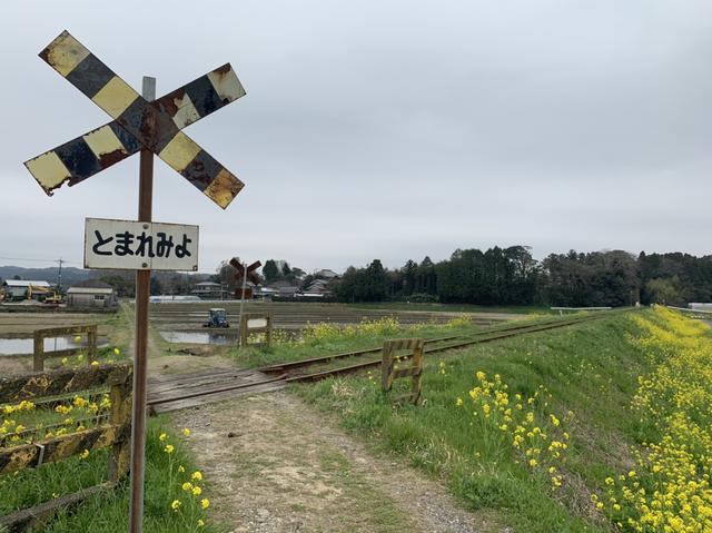 画像2: 古民家の周辺はお散歩にも最適!菜の花も満開に